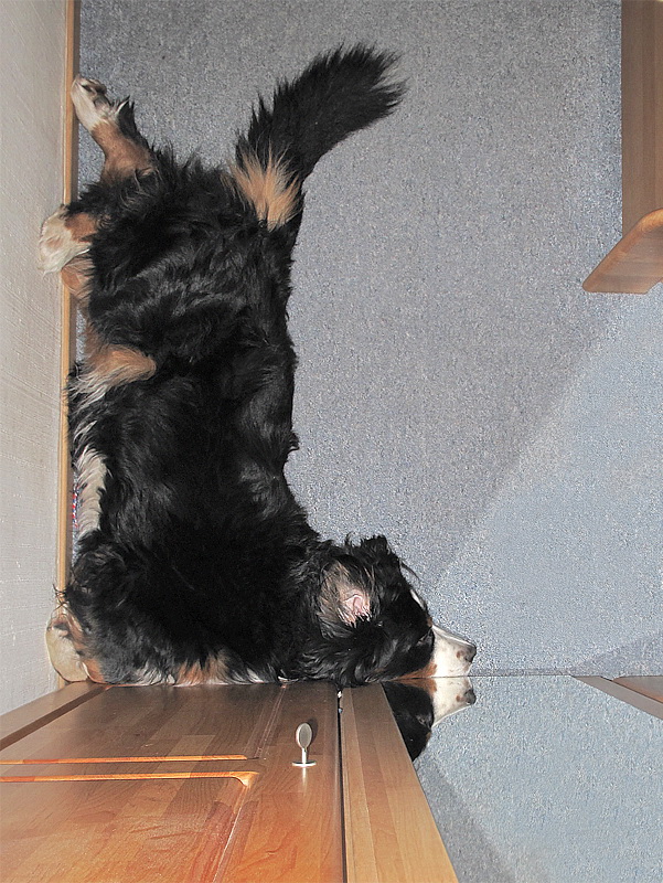 Anton IMG_0338 Kopie.jpg   26.04.jpg -                                